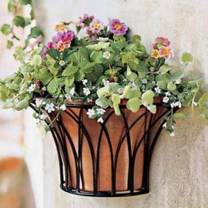 metal decorative wall planter